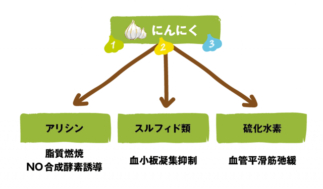 にんにくは3つのルートで血圧を下げる